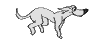 Logo Dog