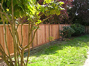 fencing1